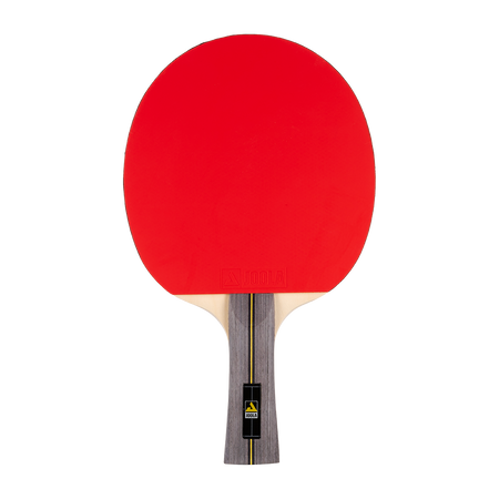 Sports paddle for table tennis game