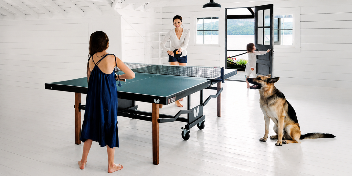 Dog watching table tennis game
